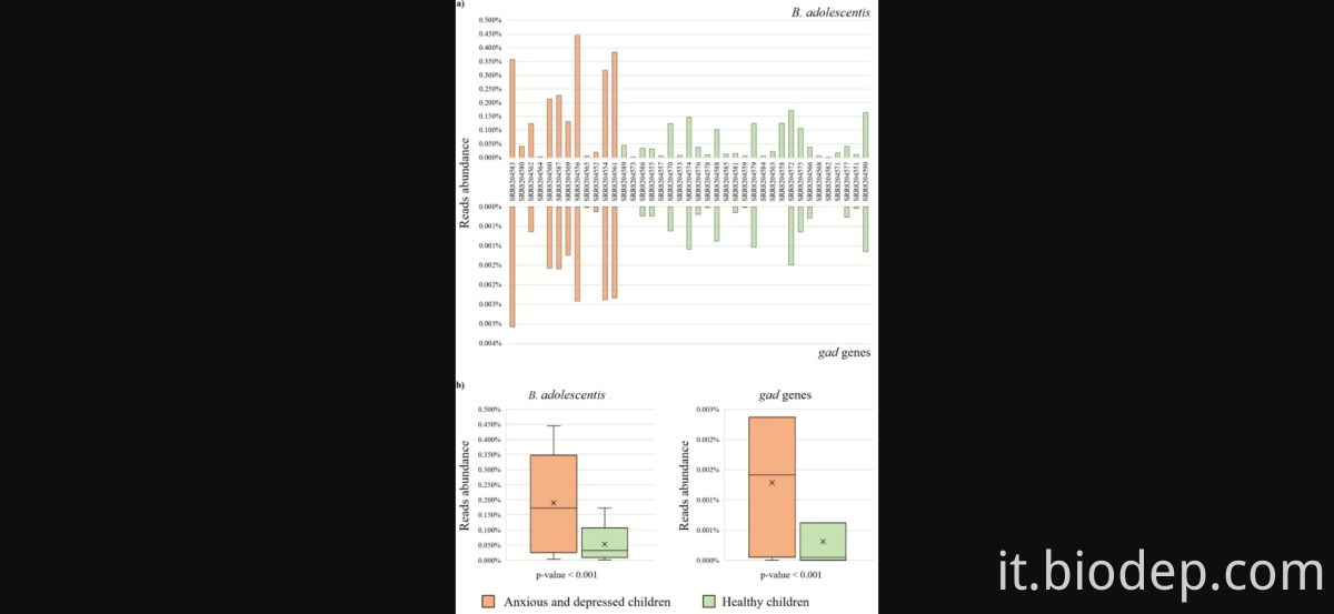 bifidobacterium adolesentis1